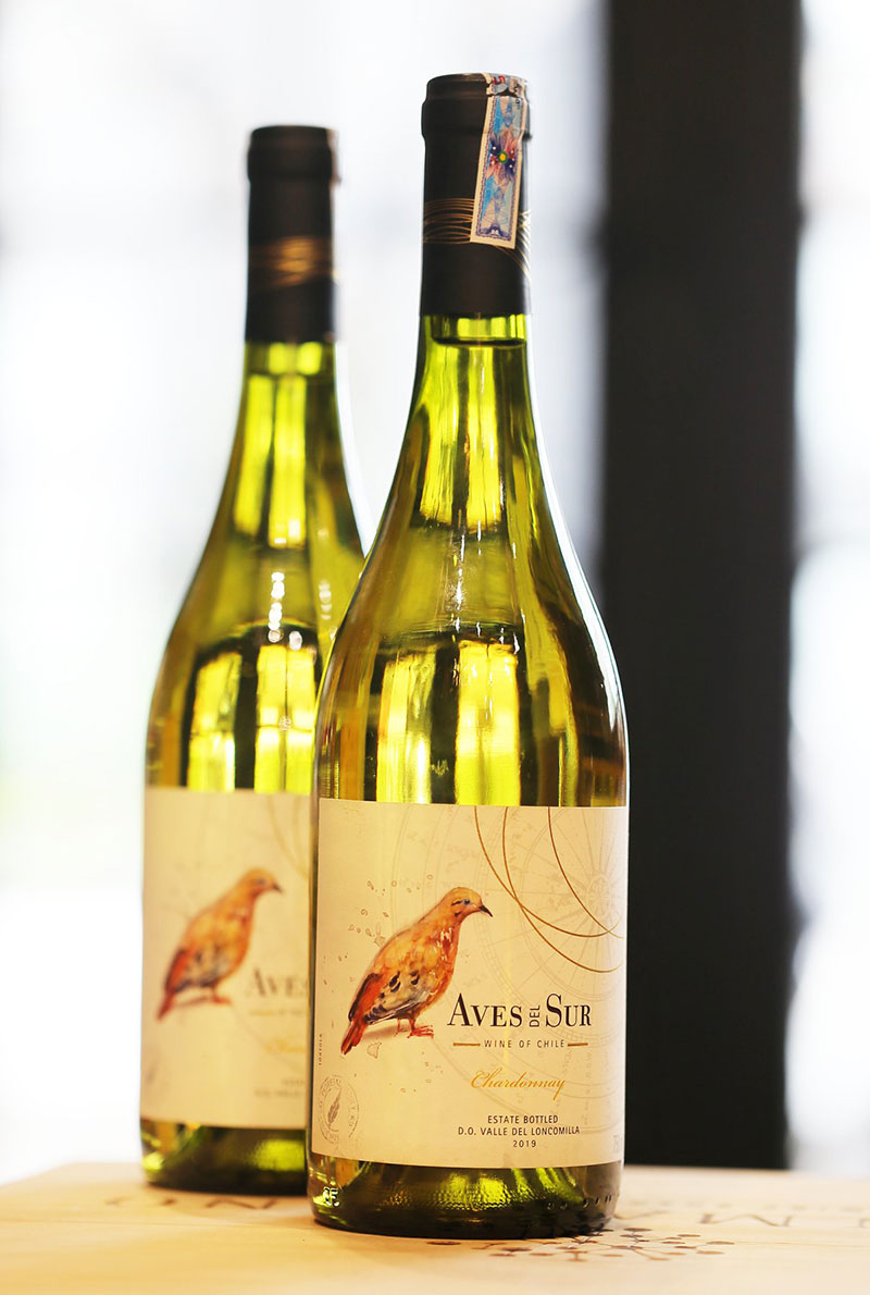 Những Món Quà Rượu Vang Trắng Ý Nghĩa Cho Dịp Tết